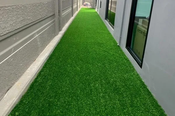 งานจัดสวน 2