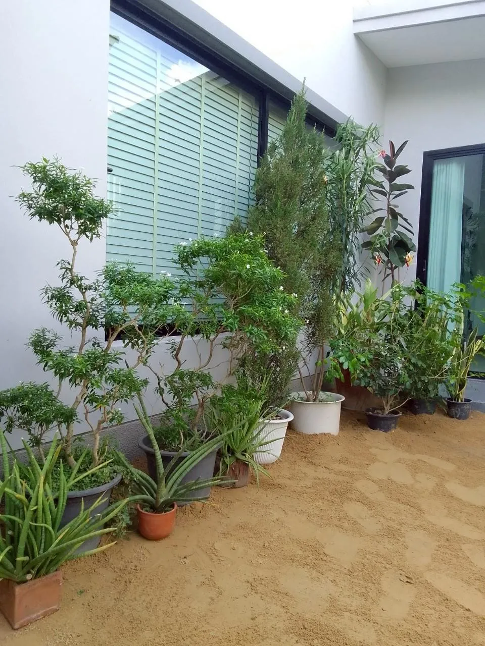 ผลงานจัดสวน 2