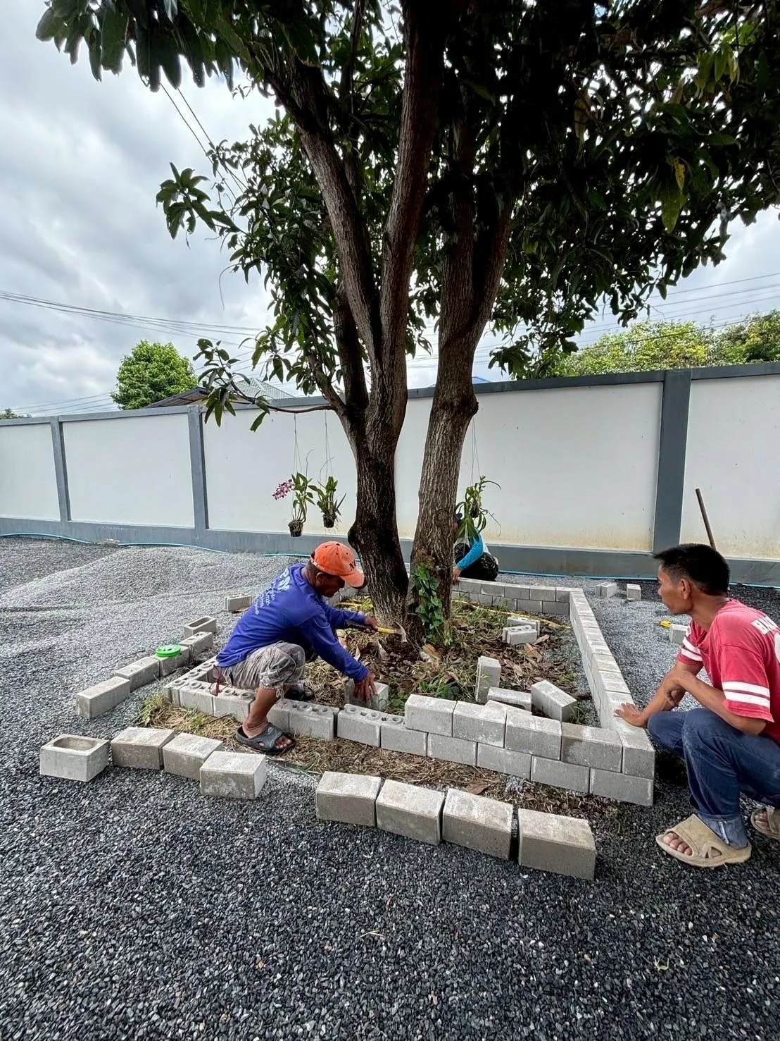 ผลงานจัดสวน 9