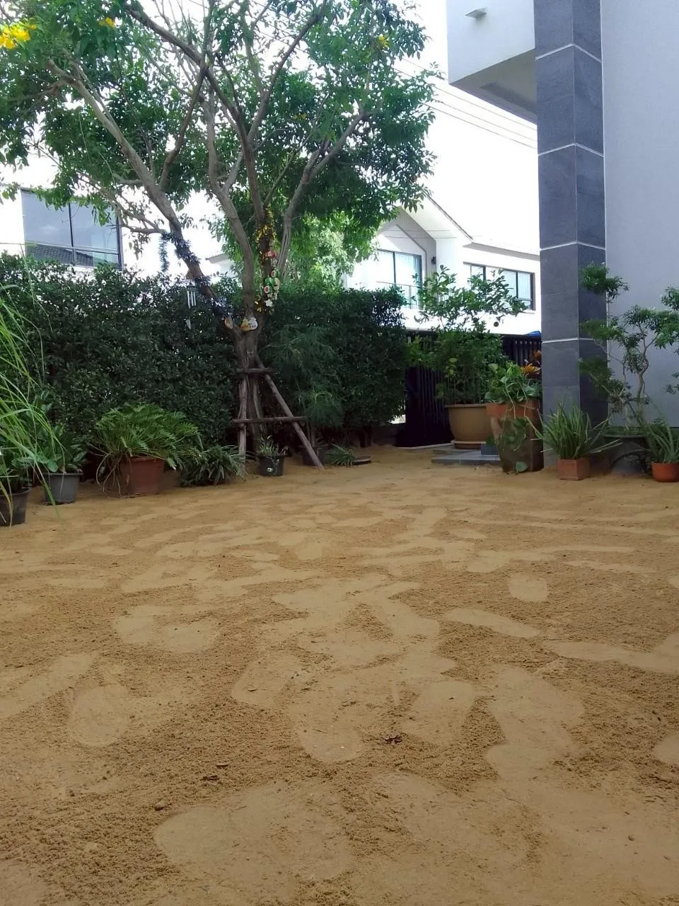 ผลงานปูหญ้า 39